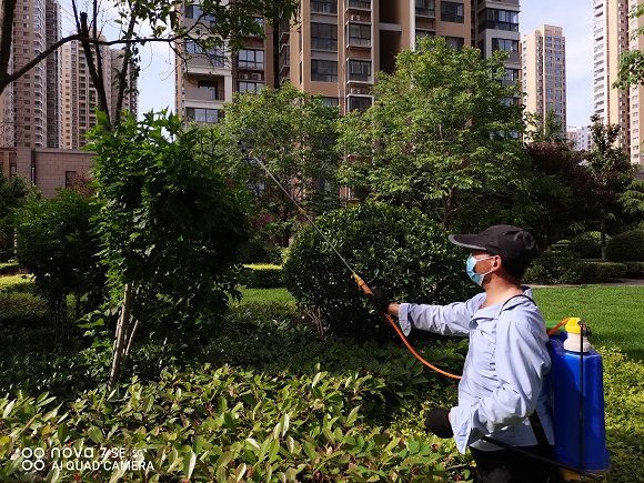 澳门大阳城娱乐